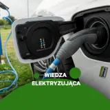 Ile pali samochód elektryczny? Zaskakujące różnice w zużyciu energii