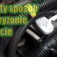 Jak pozbyć się mysz z samochodu: Skuteczne metody, które działają