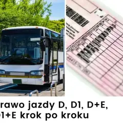 Jakie prawo jazdy na autobus? Kluczowe różnice i wymagania, które musisz znać