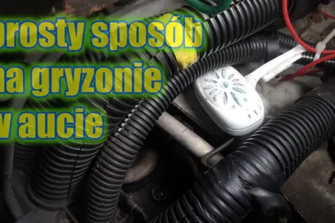 Jak pozbyć się mysz z samochodu: Skuteczne metody, które działają