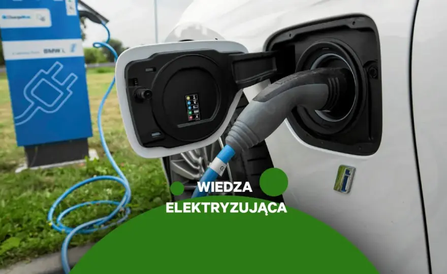 Ile pali samochód elektryczny? Zaskakujące różnice w zużyciu energii