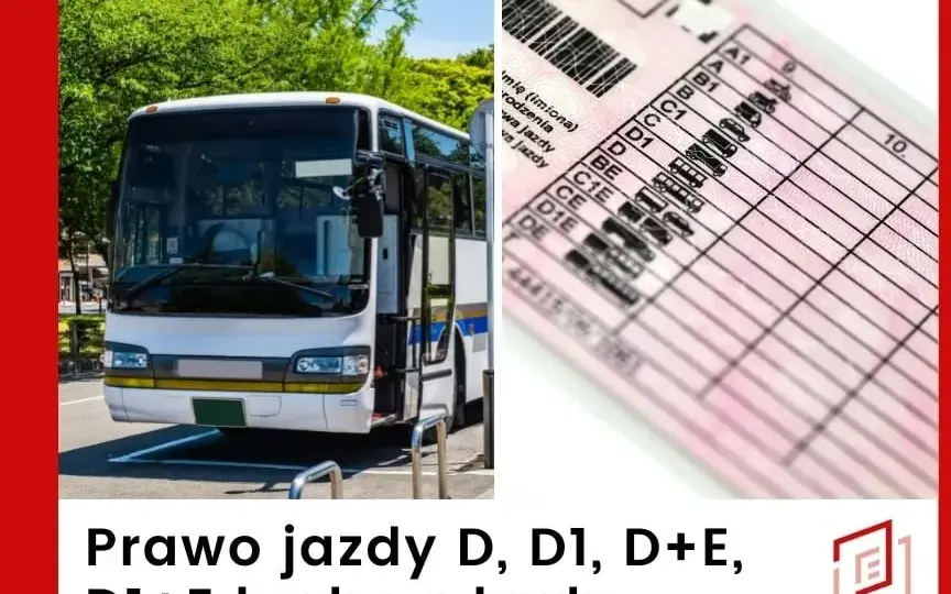 Jakie prawo jazdy na autobus? Kluczowe różnice i wymagania, które musisz znać